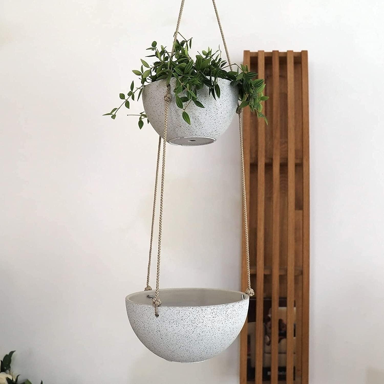 Breakwater Bay Mapps Piece Plastic Hanging Planter Set Wayfair