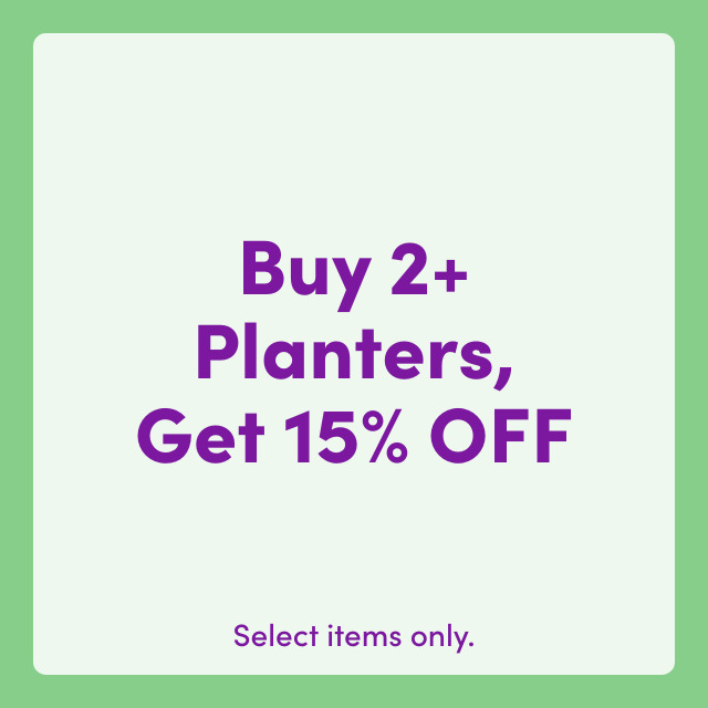 Buy 2+ planters, get 15% OFF