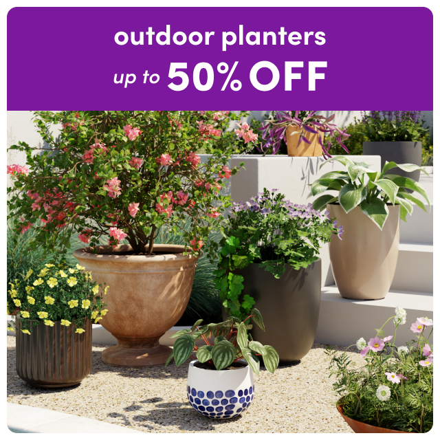 outdoor planter clearance