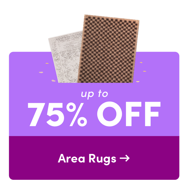 Area Rug Sale