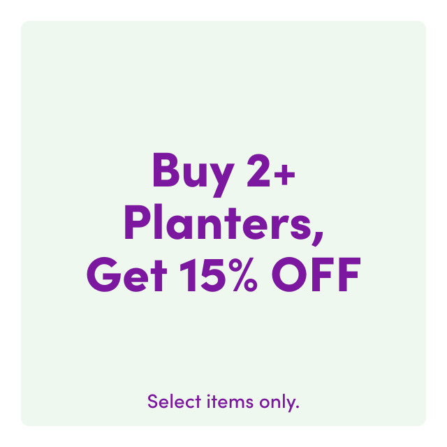 Buy 2+ planters, get 15% OFF