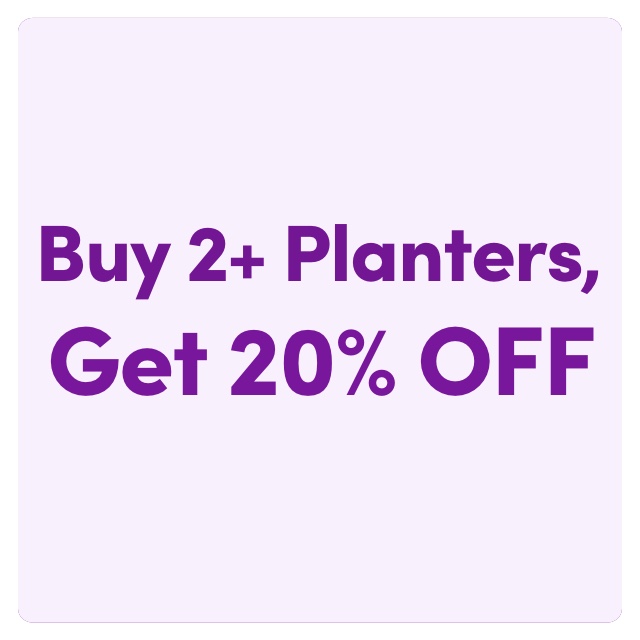 Buy 2+ Planters, Get 20% OFF