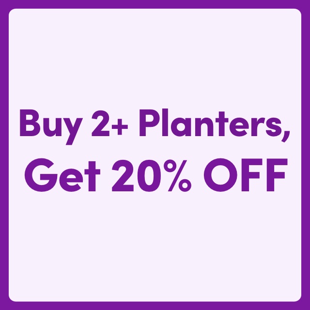 Buy 2+ Planters, Get 20% OFF