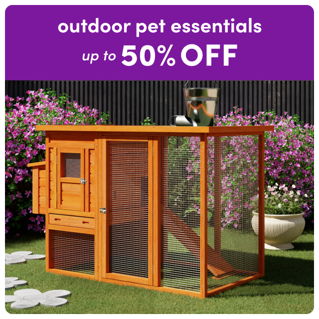 outdoor pet essentials clearance