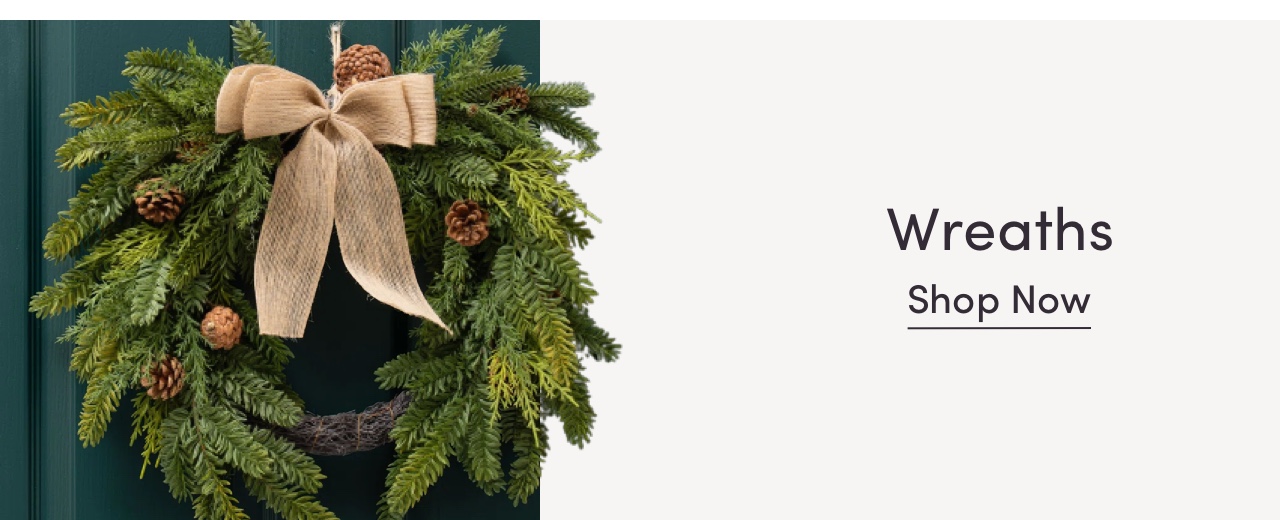 Offers on Christmas Wreaths