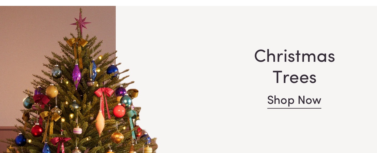 Our Top Christmas Trees