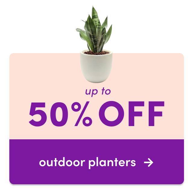 outdoor planter clearance