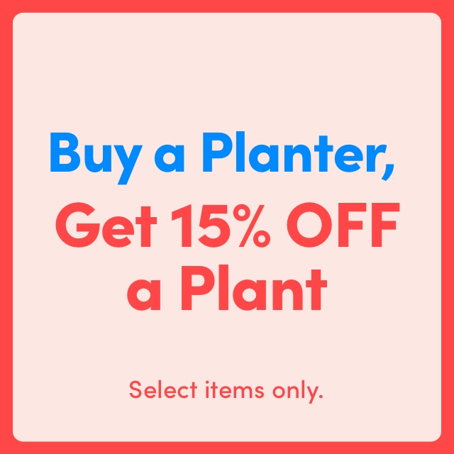 Buy Any Planter, Get 15% OFF a Plant