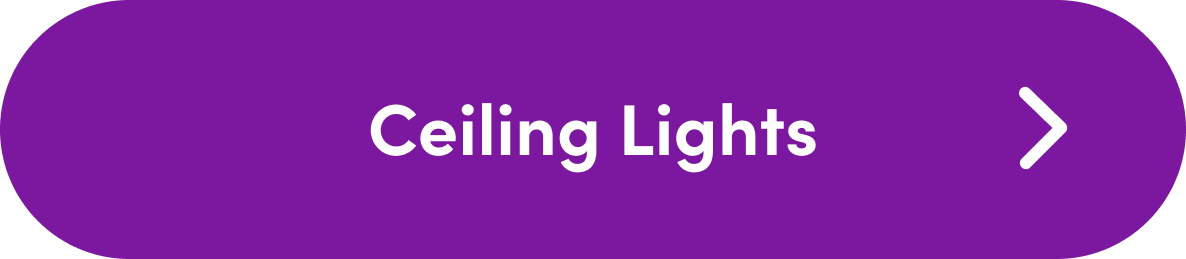 Ceiling Lights