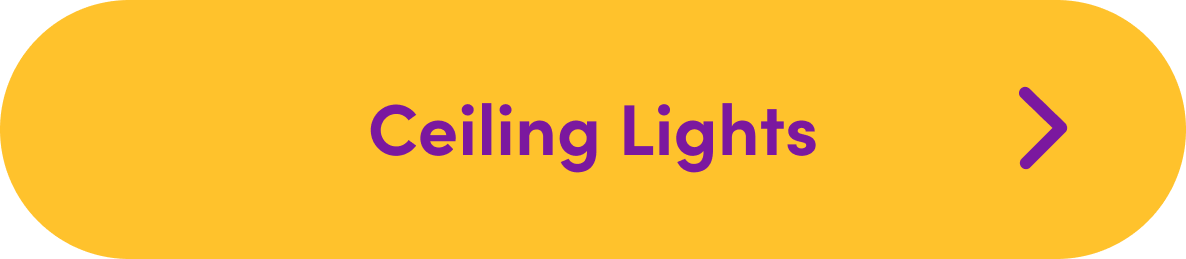 Ceiling Lights