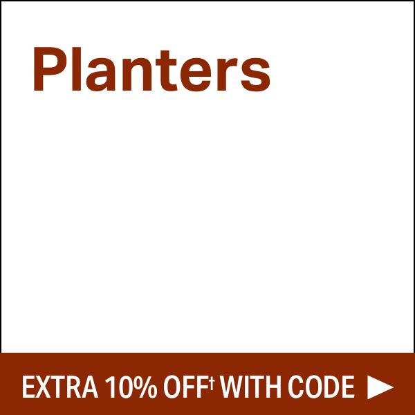 Fall Planter Sale