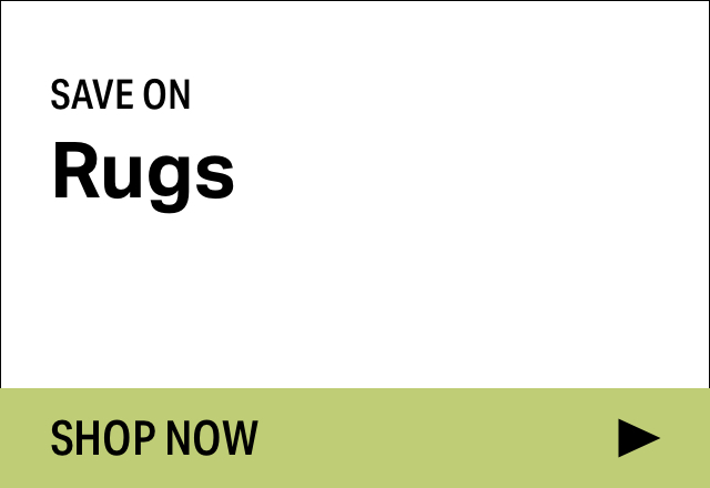 Save on Modern Rugs