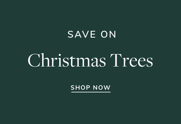 Save Big on Christmas Trees