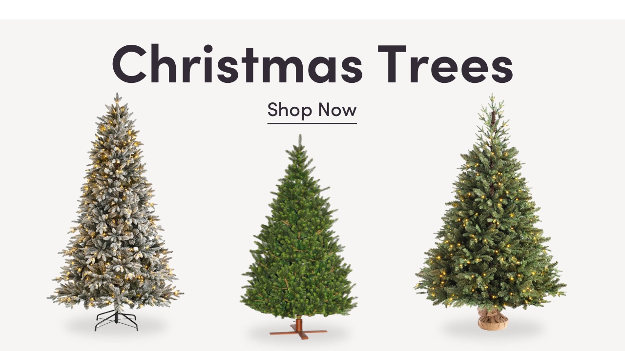 Our Top Christmas Trees