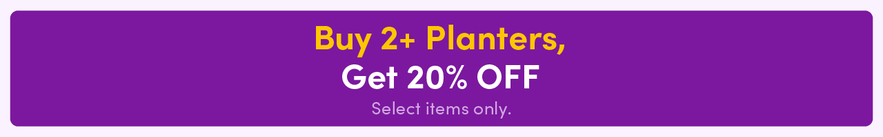 Buy 2+ Planters, Get 20% OFF