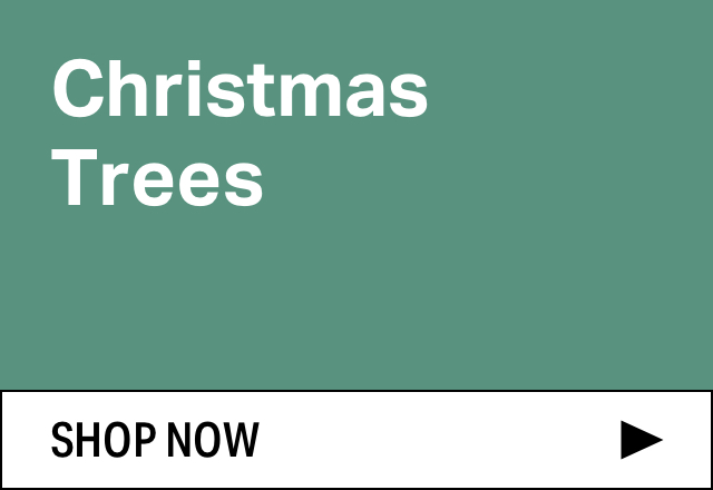 Extra 15% off Christmas Trees