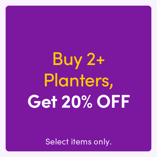 Buy 2+ Planters, Get 20% OFF