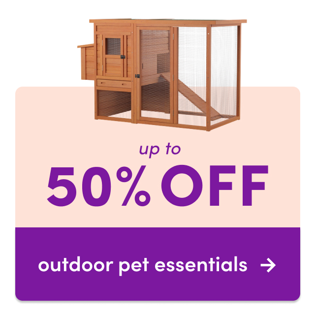 outdoor pet essentials clearance