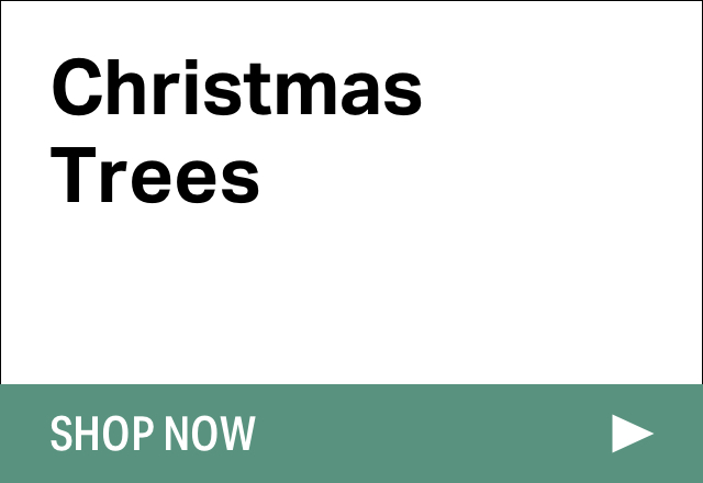 Extra 15% off Christmas Trees