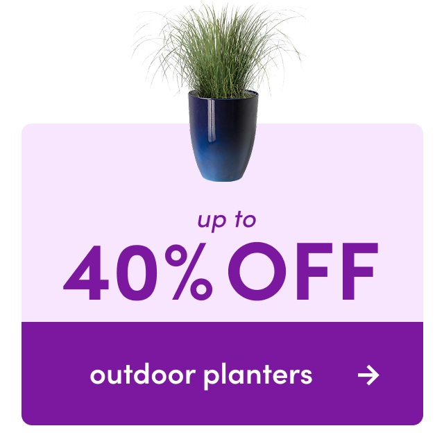 outdoor planter sale