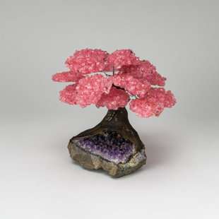ASTRO GALLERY OF GEMS Large Genuine Rose Quartz Clustered Gemstone Tree on Amethyst Matrix Crystal