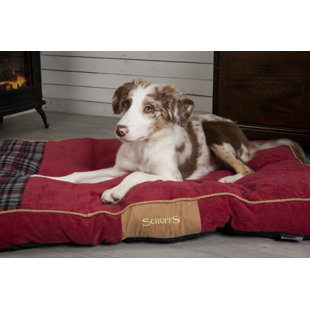 SCRUFFS Highland Mattress Pillow