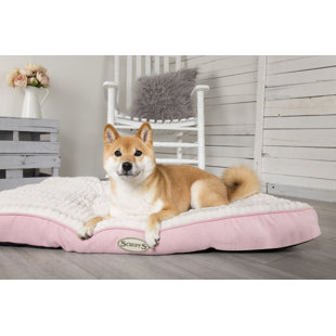 SCRUFFS Ellen Dog Mattress Pillow