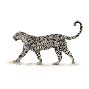 ART GROUP Wrapped Canvas Print