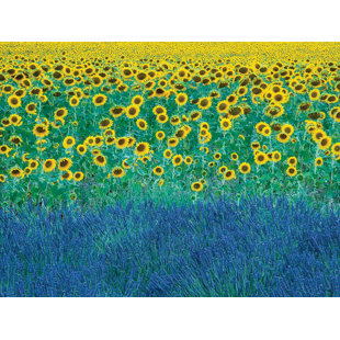 ART GROUP Wrapped Canvas Print