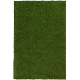 Joy Carpets Greenspace Indoor/Outdoor Area Rug