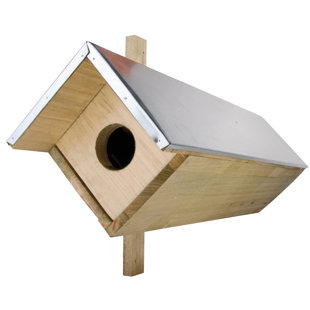 ESSCHERTDESIGN 20'' H x 32'' W x 12'' D Post Birdhouse