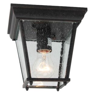 AA WAREHOUSING Bronze Outdoor Flush Mount