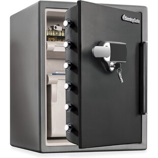 SENTRY SAFE Security Safe Lock