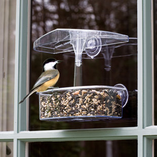 DROLL YANKEES, INC Window Tray Bird Feeder