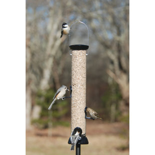 DROLL YANKEES, INC Hanging Tube Bird Feeder