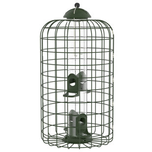 CLASSIC BRANDS LLC Squirrel Feeder