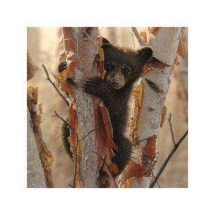 ALPEN HOME Bear Cub II - Painting on Canvas