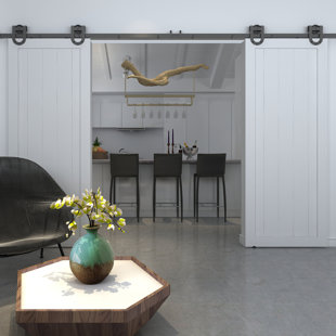 RENIN Paneled Wood Barn Door without Installation Hardware Kit