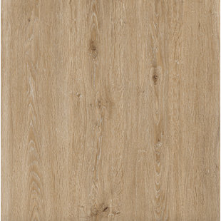 DECOPRODUCTS HydroStop Floor and Wall DIY 7.1 in. W x 48 in. 20 MIL (23.64 Sq.ft. /case)