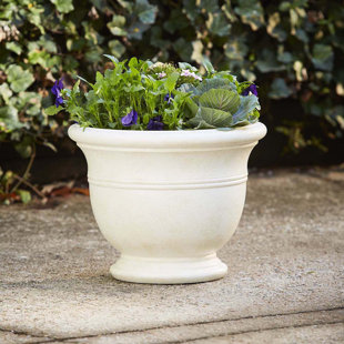 SOUTHERN PATIO® Jean Pierre Planter Urn Planter