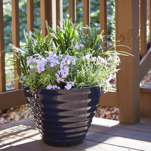 SOUTHERN PATIO® Beehive Pot Planter