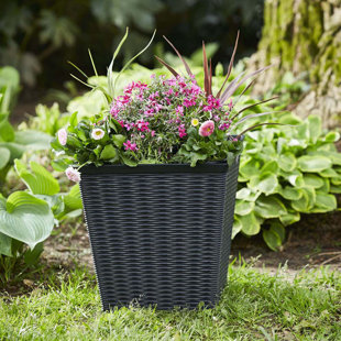 SOUTHERN PATIO® 15" Jamaica Wicker Square Planter, Dark Coffee