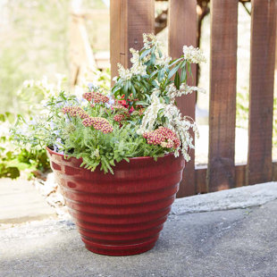 SOUTHERN PATIO® Beehive Pot Planter