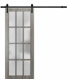 SARTODOORS Felicia Frosted Glass Barn Door with Installation Hardware Kit