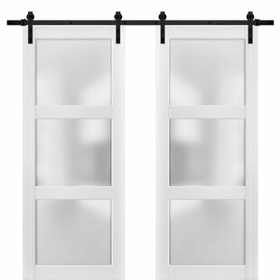 SARTODOORS Lucia Frosted Glass Wood Barn Doors with Installation Hardware Kit