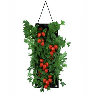 Touch Of ECO Organic Seed Hanging Planter Bag Kit - Roma Tomato