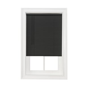 LATITUDE RUN® Semi Sheer Horizontal/Venetian Blind