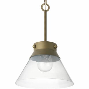 POINT DUME™ BY JEFFREY ALAN MARKS FOR PROGRESS LIGHTING Tapia Trail 1 - Light Single Cone Pendant