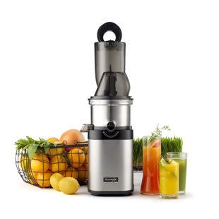 Kuvings NSF Stainless Steel Slow Masticating & Cold Press Juicer