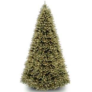 NATIONAL TREE COMPANY Downswept Douglas Fir Tree with Clear Lights